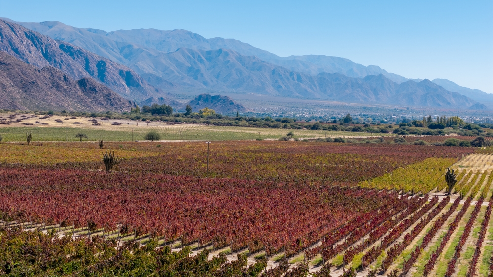 
            Cafayate
        